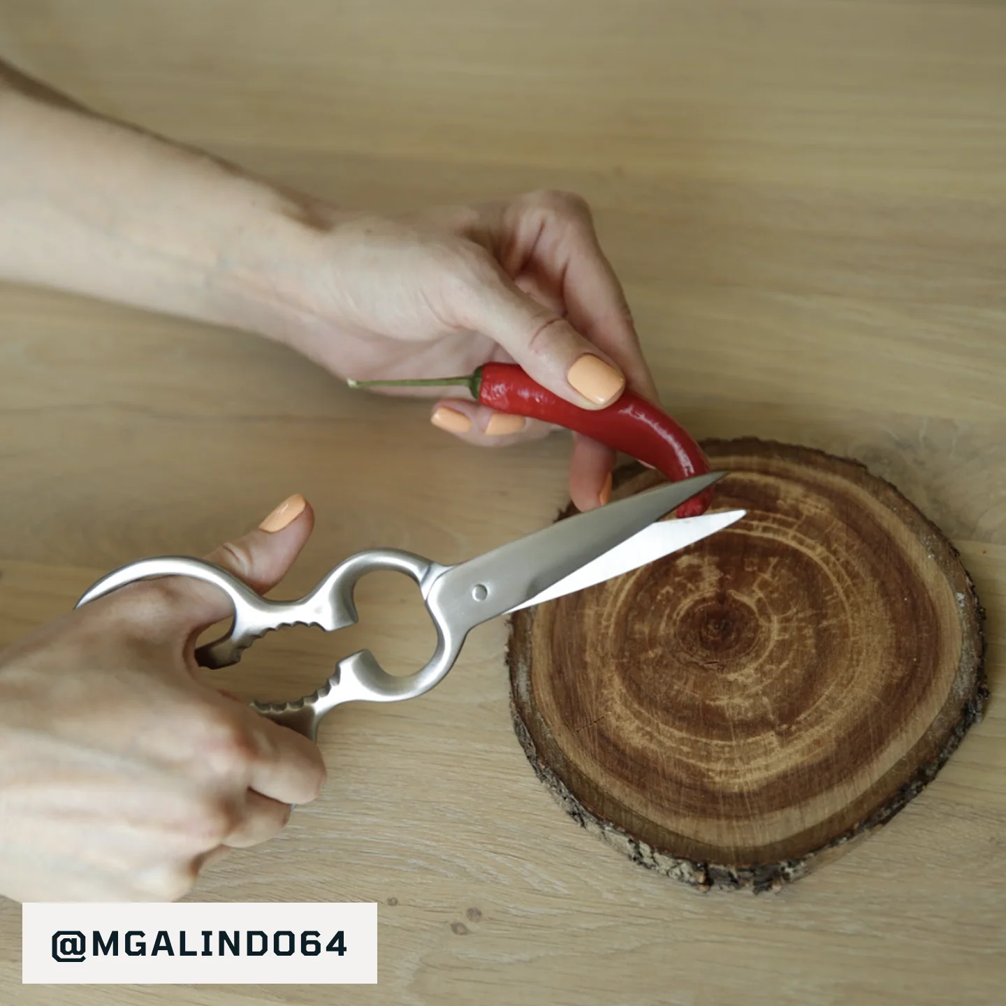 Matsato Scissors - Image 4